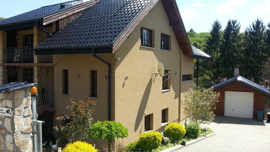 Willa Solina Solina (Podkarpackie) Exterior photo